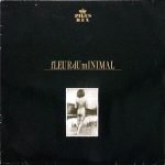 fLEUR dU mINIMAL – fLEUR dU mINIMAL LP Plak