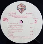 The Family – The Family LP Plak - Görsel 4