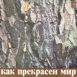 David Tukhmanov – Kak Prekrasen Mir LP Plak