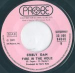 Steely Dan – Do It Again 45lik Plak - Görsel 4