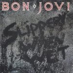 Bon Jovi – Slippery When Wet CD