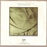 Sandra – Everlasting Love 45lik Plak - Görsel 2