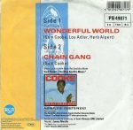 Sam Cooke – Wonderful World 45lik Plak - Görsel 2