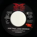 McAuley Schenker Group – Follow The Night 45lik Plak - Görsel 4