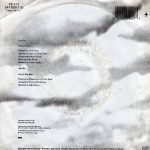 Enya – Orinoco Flow45lik Plak - Görsel 2