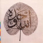 The Sabri Brothers – Ya Habib CD