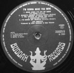 Lou Christie – I'm Gonna Make You Mine LP Plak - Görsel 4