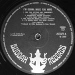 Lou Christie – I'm Gonna Make You Mine LP Plak - Görsel 3
