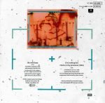 Duran Duran – The Wild Boys 45lik Plak - Görsel 2