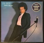 Leo Sayer – Thunder In My Heart LP Plak NMB
