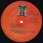 Camel – Rain Dances LP Plak - Görsel 3