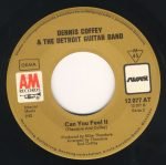 Dennis Coffey & The Detroit Guitar Band – Taurus 45lik Plak - Görsel 3