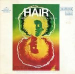 Hair - The American Tribal Love-Rock Musical - The Original Broadway Cast Recording LP Plak