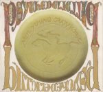 Neil Young With Crazy Horse – Psychedelic Pill 2CD Digipack