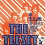 The Tee-Set – Ma Belle Amie 45lik Plak