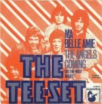 The Tee-Set – Ma Belle Amie 45lik Plak