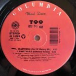 T99 – Anasthasia 12'' Maxi Single Plak - Görsel 3