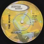 The Buoys – Give Up Your Guns 45lik Plak - Görsel 2
