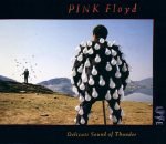 Pink Floyd – Delicate Sound Of Thunder 2CD Box Set