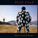 Pink Floyd – Delicate Sound Of Thunder 2CD Box Set