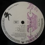 Everything But The Girl – Eden LP Plak - Görsel 2