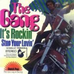 The Gang – It's Rockin 45lik Plak