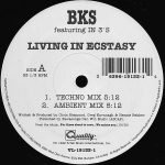 BKS Featuring In 3's – Living In Ecstasy 12'' Maxi Single Plak