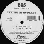 BKS Featuring In 3's – Living In Ecstasy 12'' Maxi Single Plak - Görsel 2