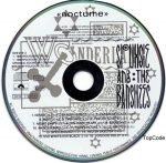 Siouxsie And The Banshees – Nocturne CD - Görsel 2