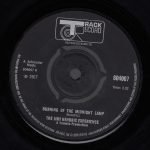 The Jimi Hendrix Experience – Burning Of The Midnight Lamp 45lik Plak