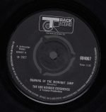 The Jimi Hendrix Experience – Burning Of The Midnight Lamp 45lik Plak
