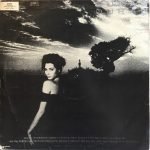 Duran Duran – Notorious LP Plak - Görsel 3