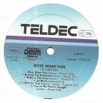The Subtones – Boys Want Fun LP Plak - Görsel 3