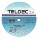 The Subtones – Boys Want Fun LP Plak - Görsel 4