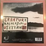 Erbatur – Kaçacağım / Seyyah 45lik Plak - Görsel 2