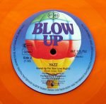 Yazz – Stand Up For Your Love Rights (The Remixes) 12'' Maxi Single Plak RENKLİ - Görsel 4