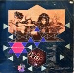 Siouxsie And The Banshees – Nocturne 2LP Plak - Görsel 2