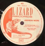 Andrew More – La Vie Sauvage 45lik Plak - Görsel 3