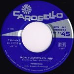 Robertino – Non T'Aspettavo Più 45lik Plak - Görsel 2
