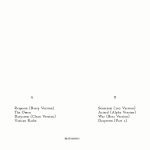 Etnik Sentetik – Selected Works 1995-2006 LP Plak - Görsel 2
