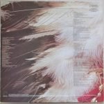Mason Proffit – Come & Gone 2LP Plak RENKLİ - Görsel 2
