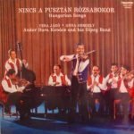 Andor Bura Kovács And His Gipsy Band - Hungarian Songs LP Plak