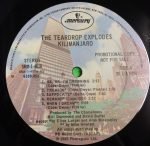 The Teardrop Explodes – Kilimanjaro LP Plak - Görsel 3