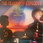 The Teardrop Explodes – Kilimanjaro LP Plak - Görsel 2
