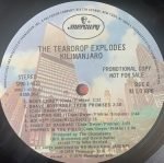 The Teardrop Explodes – Kilimanjaro LP Plak - Görsel 4