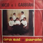 Nico E I Gabbiani – Ora Sai 45lik Plak (Beat)