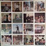 The Undertones – Hypnotised LP Plak - Görsel 5