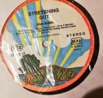Alan Bown – Stretching Out LP Plak - Görsel 3
