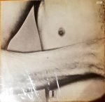 Alan Bown – Stretching Out LP Plak - Görsel 4