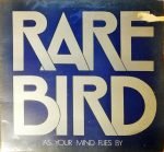 Rare Bird – As Your Mind Flies By LP Plak